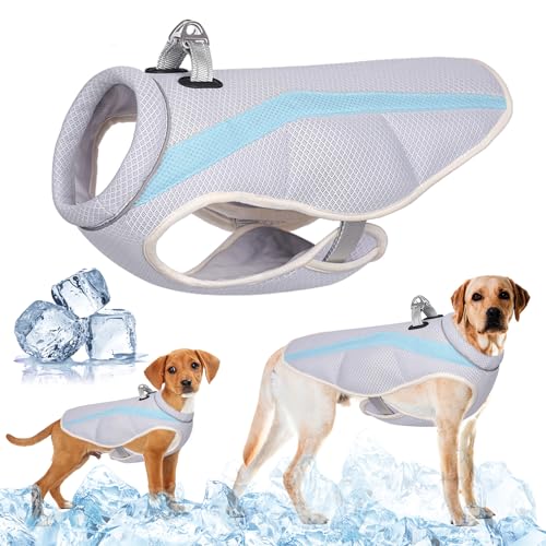 Hund Kühlung Weste Geschirr mit D-Ring für große mittlere kleine Hunde Cooler Jacke Atmungsaktive Mesh Hundeweste Sommer kühl und bequem Hundemantel mit reflektierenden, Sicherheit Sun-proof (Blau, S) Hund Kühlung Weste Geschirr mit D-Ring für große mittlere kleine Hunde Cooler Jacke Atmungsaktive Mesh Hundeweste Sommer kühl und bequem Hundemantel mit reflektierenden, Sicherheit Sun-proof (Blau, S) von TOPSOSO