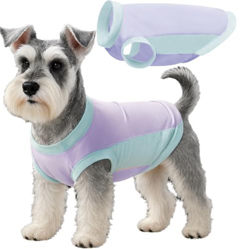 TOPSOSO Kühlweste für Hunde mit UPF 51+ UV-Schutz Ice Silk Tech Atmungsaktiv Schnell trocknend Sommerkühlung für Kleine/Mittlere/Große Sommermantel Geeignet für Innen- und Außenaktivitäten(Lila M) TOPSOSO Kühlweste für Hunde mit UPF 51+ UV-Schutz Ice Silk Tech Atmungsaktiv Schnell trocknend Sommerkühlung für Kleine/Mittlere/Große Sommermantel Geeignet für Innen- und Außenaktivitäten(Lila M) von TOPSOSO
