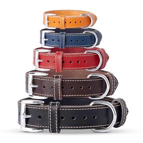TORRUNA Hundehalsband aus echtem Leder, verstellbar, für kleine und große Hunde (groß: Halsumfang 41,9 cm - 50 cm, Senf) TORRUNA Hundehalsband aus echtem Leder, verstellbar, für kleine und große Hunde (groß: Halsumfang 41,9 cm - 50 cm, Senf) von TORRUNA