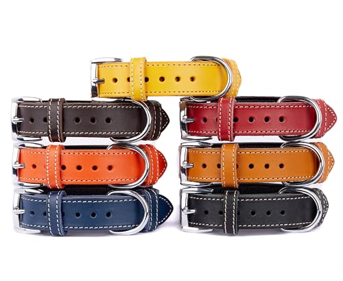 TORRUNA Weiches Leder Hundehalsband, Langlebiges und Robustes Halsband für Kleine, Mittelgroße und Große Hunde von TORRUNA