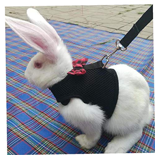 Kaninchen Hamster Vest Harness Leine Häschen-mesh-brustgurt Kleintiere Pet Geschirre Für Frettchen Meerschweinchen M von TOSSPER