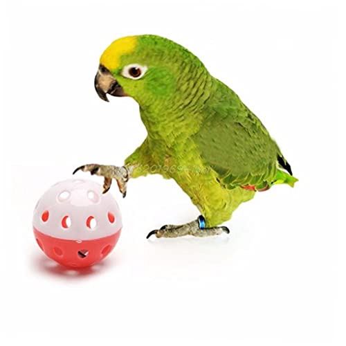 TOSSPER 1pc Pet Parrot Spielzeug-Vogel-hohl Bell Ball Chew Fun Cage Spielzeug Für Sittich Cockatiel Zufällige Farbe von TOSSPER