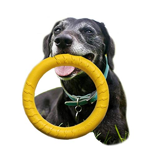 TOSSPER Hundespielzeug Gummi Fetch Flying Disc Pet Trainingsball Seil Welpen-kauen-Spielzeug Für Für Outdoor Interactive Fun von TOSSPER