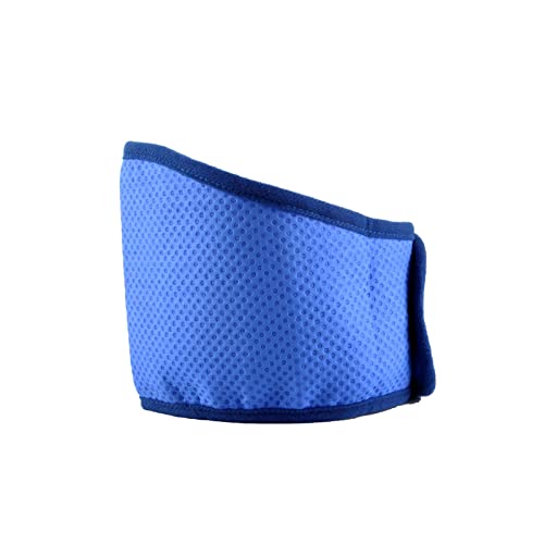 TOWARDSNAN Hunde Sommerkühlungskragen Anti Einstroke Hund Cooler Pad Kragen Atmungsaktivem Hund Mesh Schal Verstellbarer Kühlbandanas von TOWARDSNAN