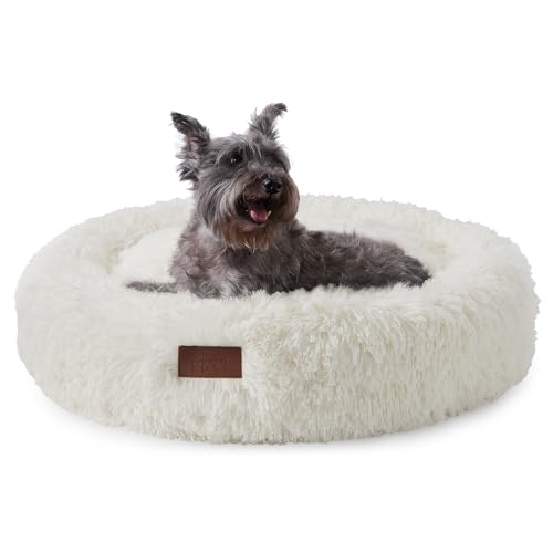TOWN & COUNTRY LUXE CuddleTown Fuzzy Solid Donut-Haustierbett, weich, gemütlich und beruhigend, wasserabweisend, rutschfeste Unterseite, 100% maschinenwaschbar, cremefarben, Größe M, 71,1 x 71,1 x TOWN & COUNTRY LUXE CuddleTown Fuzzy Solid Donut-Haustierbett, weich, gemütlich und beruhigend, wasserabweisend, rutschfeste Unterseite, 100% maschinenwaschbar, cremefarben, Größe M, 71,1 x 71,1 x von TOWN & COUNTRY LUXE