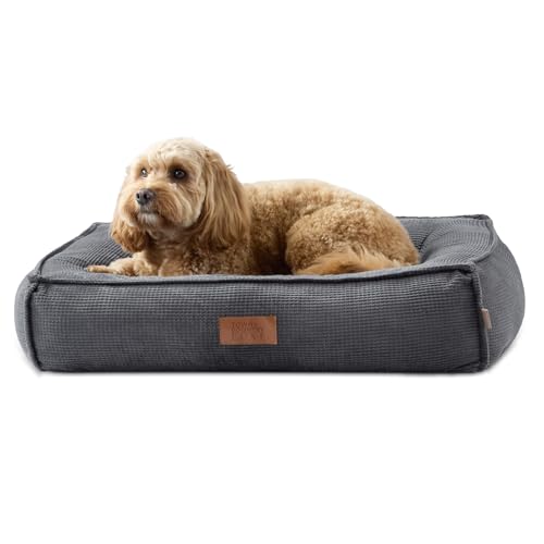 TOWN & COUNTRY LUXE CuddleTown Kuscheliges Haustierbett, gerippte Cordstruktur, maschinenwaschbarer Bezug, weich, gemütlich und beruhigend, rutschfeste Unterseite, Dunkelgrau, Größe M, 68,6 x 55,9 x TOWN & COUNTRY LUXE CuddleTown Kuscheliges Haustierbett, gerippte Cordstruktur, maschinenwaschbarer Bezug, weich, gemütlich und beruhigend, rutschfeste Unterseite, Dunkelgrau, Größe M, 68,6 x 55,9 x von TOWN & COUNTRY LUXE