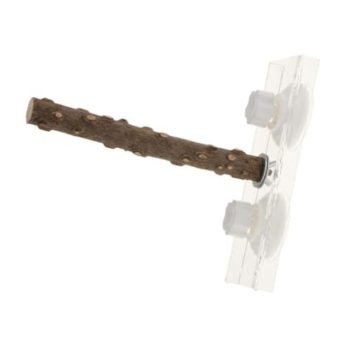 TOYANDONA 1 PC Vogel Saugnapf Ständer Haustier Papagei Plattform Becher Vogel Sitzstange Papagei Zubehör Vogelspielzeug Sittich Vogelpapageien Großes Papageien Zubehör Papageien TOYANDONA 1 PC Vogel Saugnapf Ständer Haustier Papagei Plattform Becher Vogel Sitzstange Papagei Zubehör Vogelspielzeug Sittich Vogelpapageien Großes Papageien Zubehör Papageien von TOYANDONA