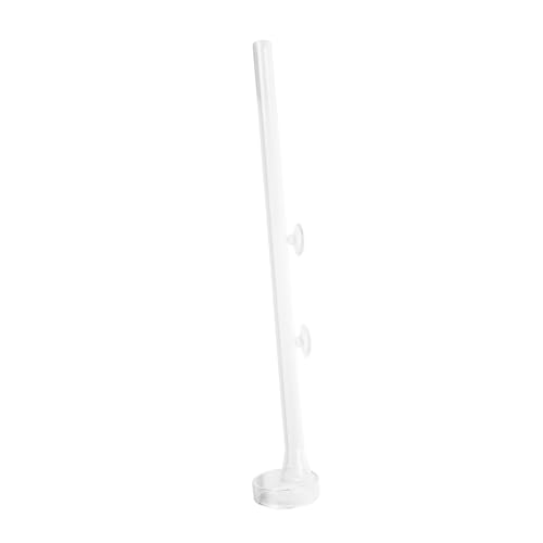 TOYANDONA 1 Satz Futterspender Für Aquarien Urlaub Fischfutter Futterspender Für Garnelenbecken Futterschale Für Fische Futterrohr Für Fische Groß Futterrohr Für Garnelen Glas Transparent von TOYANDONA