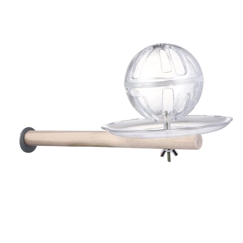 TOYANDONA 1 Satz Futtersuche drinnen Sittich-Futter Ball zur Nahrungssuche Toys für Papageien suchen eins Futtersystem für Sittiche Acryl Transparent von TOYANDONA