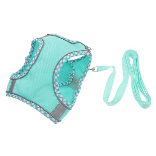 TOYANDONA 1 Satz Hundegeschirr-Set Führen Leine Ausbildung Für Dekoratives Welpengeschirr Haustier Hund Weste Tragbares Welpengeschirr Haustierkabelbaum Welpenweste Sky-Blue Polyester von TOYANDONA