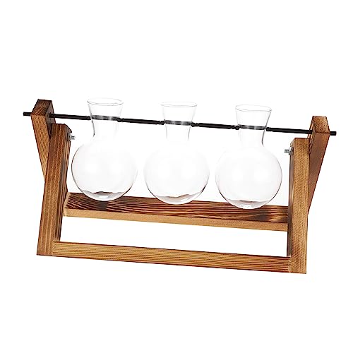 TOYANDONA 1 Satz Hydroponischer Behälter Für Vase Drinnen Terrariumpflanze Outdoor -pflanzer Anlage Pflanzen Wasser Einmachgläser Birne Terrarium Schwenkhalterung Ausbreitungsstationen Glas von TOYANDONA