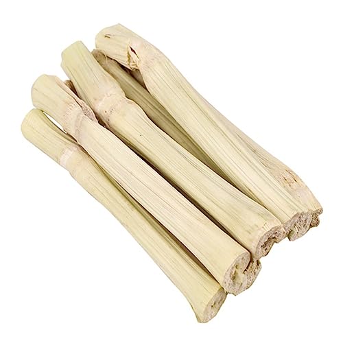 TOYANDONA Natürliche Kauspielzeuge für Kleintiere Zähneknirschen Spielzeug Haustier Beißspielzeug für Hamster Kaninchen und Meerschweinchen Sicher und Langlebig Beige von TOYANDONA