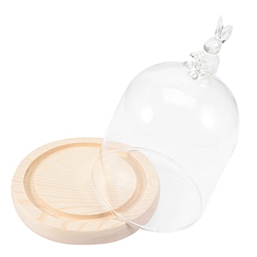 TOYANDONA 1 Satz Kerzenschirm Wohnaccessoires Anzeige Küchentheke drinnen Glasabdeckung mit Holzsockel Mikro-Landschaftsglaskuppel Landschaftsabdeckung aus Glas hölzern TOYANDONA 1 Satz Kerzenschirm Wohnaccessoires Anzeige Küchentheke drinnen Glasabdeckung mit Holzsockel Mikro-Landschaftsglaskuppel Landschaftsabdeckung aus Glas hölzern von TOYANDONA