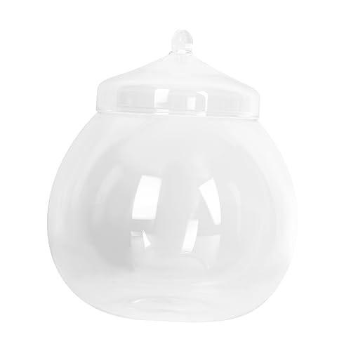 TOYANDONA 1 Satz Micro Landschaftsflasche mit Glasbehälter für DIY Dekoration für Moos Pflanzen Innen und Außendekoration Transparentes Design für Beobachten von TOYANDONA