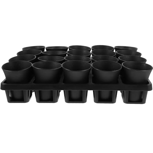 TOYANDONA 1 Satz Organizer-Korb Für Fleischbecken Fälschung Gefälschte Pflanze Kleine Anzuchttöpfe Sukkulente Kindergarten -töpfe Weiden Futterspender Kochen Klarer Topf Black Plastik von TOYANDONA