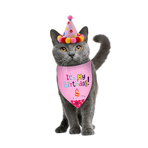 TOYANDONA 1 Satz Party Set Verstellbare Hundemütze für Haustiere Geburtstagsdeko für Hundebesitzer Einheitsgröße Süßes für Ihren Vierbeinigen TOYANDONA 1 Satz Party Set Verstellbare Hundemütze für Haustiere Geburtstagsdeko für Hundebesitzer Einheitsgröße Süßes für Ihren Vierbeinigen von TOYANDONA