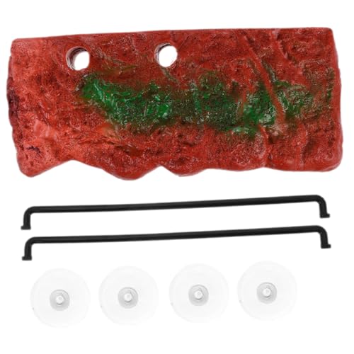 TOYANDONA Sonnenplattform Für Schildkrötenbecken Zubehör Aus Harz Und Kletterplatz Für Reptilien Und Landschildkröten Dekoration Für Aquarium Und Terrarium Multifunktionales Spiel Und TOYANDONA Sonnenplattform Für Schildkrötenbecken Zubehör Aus Harz Und Kletterplatz Für Reptilien Und Landschildkröten Dekoration Für Aquarium Und Terrarium Multifunktionales Spiel Und von TOYANDONA