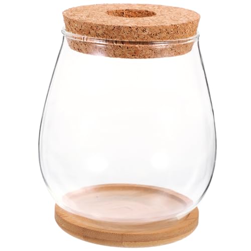 TOYANDONA 1 Satz Terrarium mit Unterlage Transparentes Mikrolandschaftsgefäß für Pflanzen Dekoration für Garten Abnehmbarer Abdeckung von TOYANDONA