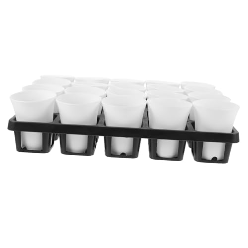 TOYANDONA 1 Set Fleischbecken Organizer Korb Set Anzuchttopf Mit Tablett Blumentopf Mit Beinen Kleine Anzuchttöpfe Erhöhte Sukkulentensamen Selbstanzuchttöpfe Für Pflanzen TOYANDONA 1 Set Fleischbecken Organizer Korb Set Anzuchttopf Mit Tablett Blumentopf Mit Beinen Kleine Anzuchttöpfe Erhöhte Sukkulentensamen Selbstanzuchttöpfe Für Pflanzen von TOYANDONA
