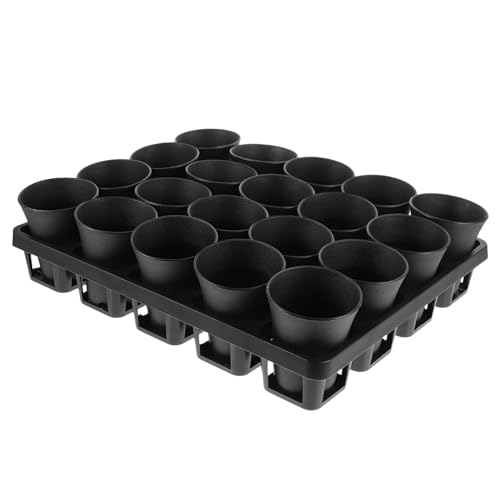 TOYANDONA 1 Set Fleischbecken Organizer Korb Zimmerpflanzen Sukkulenten Töpfe Cartoon Pfanne Pflanztöpfe Kinderzimmer Geräte Hunde Pflanztöpfe Blumenerde Extra Automatisch TOYANDONA 1 Set Fleischbecken Organizer Korb Zimmerpflanzen Sukkulenten Töpfe Cartoon Pfanne Pflanztöpfe Kinderzimmer Geräte Hunde Pflanztöpfe Blumenerde Extra Automatisch von TOYANDONA