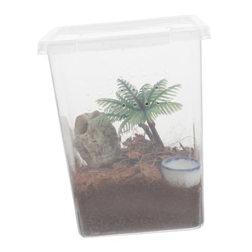 TOYANDONA 1 Set Haustier Spinnenbox Terrarium Springspinnen Zubehör Spinnengehege Spinnenhabitat Spinnenkäfig Insektengehege Insektenbehälter Krabbeltierboxen Abs von TOYANDONA