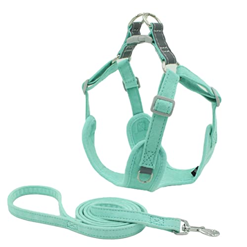 TOYANDONA 1 Set Haustierleine Für Hunde Geschirr Für Widerstandsfähige Kleine Hunde Schlupfform Hundeleine Für Kleine Rassen Welpenleine Ziehen Wichtige Riemenleinen Xx Groß von TOYANDONA