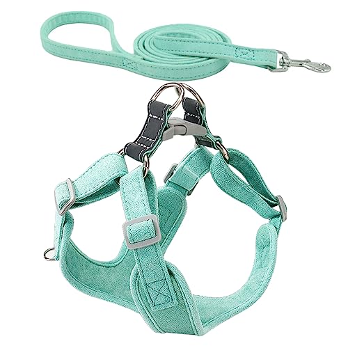 TOYANDONA 1 Set Haustierleine Hundeleinen Für Kleine Hunde Einziehbare Schnallenleinen Fellpflegegeschirr Sicher Für Welpen Hundegürtel Hund Für Mittelgroße Hunde TOYANDONA 1 Set Haustierleine Hundeleinen Für Kleine Hunde Einziehbare Schnallenleinen Fellpflegegeschirr Sicher Für Welpen Hundegürtel Hund Für Mittelgroße Hunde von TOYANDONA