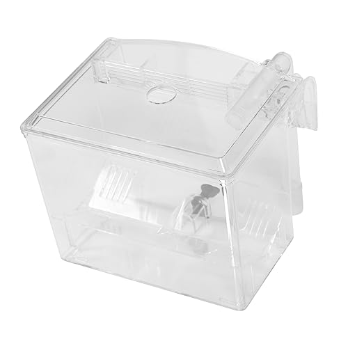 TOYANDONA 1 Stück Aquarium Isolationsbox mit Pneumatischer Belüftung Zuchtkasten für Fische Aufzuchtbecken für Jungfische Transparent Hängendes Design für Gesunde Aufzucht und Beobachtung von TOYANDONA