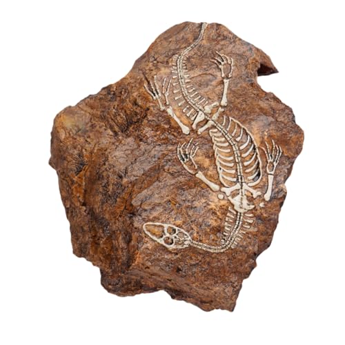 TOYANDONA 1 Stück Dekorative Aquarium Ornamente Kunststein Schädel für Fischbecken und Terrarien Natürliches Aussehen Sicheres Harzmaterial für Aquarienlandschaften von TOYANDONA
