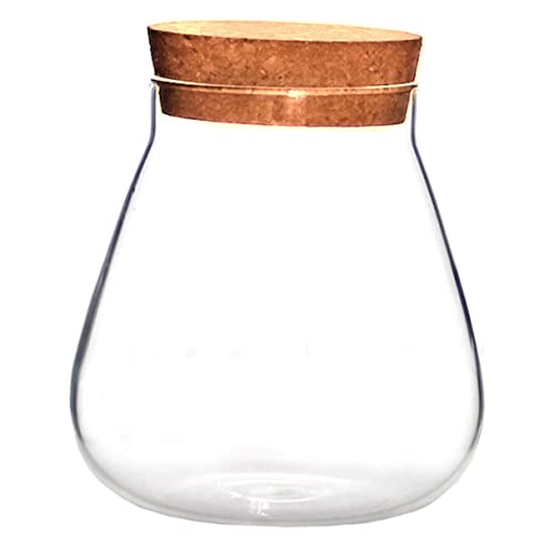TOYANDONA 1 Stück Flasche Aus Korkglas Wandpflanzer Apothekergläser Intelligentes Pflanzgefäß Für Haustiere Kleine Gläser Mit Deckel Brown Flasche Aus Glas Mit Hohem Borosilikatgehalt von TOYANDONA