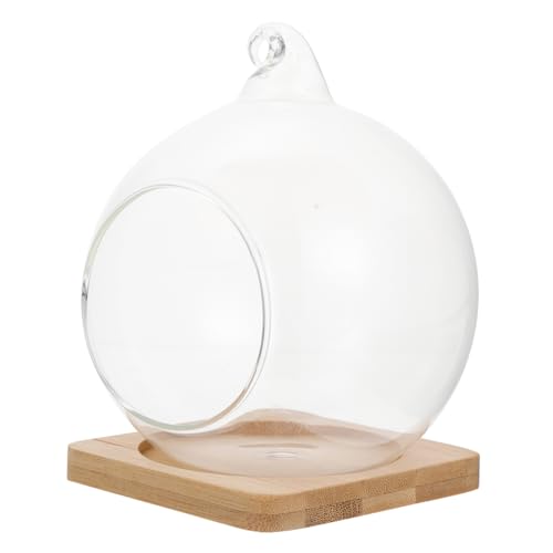 TOYANDONA 1 Stück Hängendes Terrarium Micro Landschaftsflasche für Pflanzen Bambusunterlage für DIY Dekoration und Tischdeko TOYANDONA 1 Stück Hängendes Terrarium Micro Landschaftsflasche für Pflanzen Bambusunterlage für DIY Dekoration und Tischdeko von TOYANDONA
