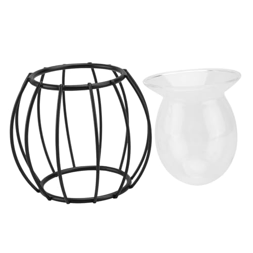 TOYANDONA 1 Stück hydroponische Vase dekorativ Schreibtisch Anlage Home Office Decor kleine Vase Vasen bürodeko büro Dekoration Wohnaccessoire Topf für Wasserpflanzen Tischvase Glas Black von TOYANDONA