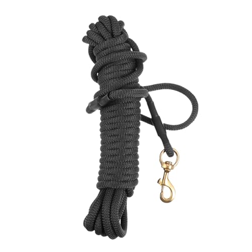 TOYANDONA 10 Hundeleine hundegurt hundelaufband hundegürtel Laufleine Größe Leinen für Hunde Hundeläufer für Hunde Outdoor- für Haustiere Polypropylen Black TOYANDONA 10 Hundeleine hundegurt hundelaufband hundegürtel Laufleine Größe Leinen für Hunde Hundeläufer für Hunde Outdoor- für Haustiere Polypropylen Black von TOYANDONA