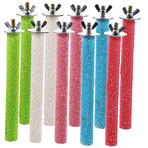 TOYANDONA 10stücke Farbige -mahlstation Für Vögel Parakeet Perch Spielzeug Vogelpflege Und Ausbildung Lange Natürliche Sitzstangen Für Papageien Sittiche Und Andere Haustiere TOYANDONA 10stücke Farbige -mahlstation Für Vögel Parakeet Perch Spielzeug Vogelpflege Und Ausbildung Lange Natürliche Sitzstangen Für Papageien Sittiche Und Andere Haustiere von TOYANDONA