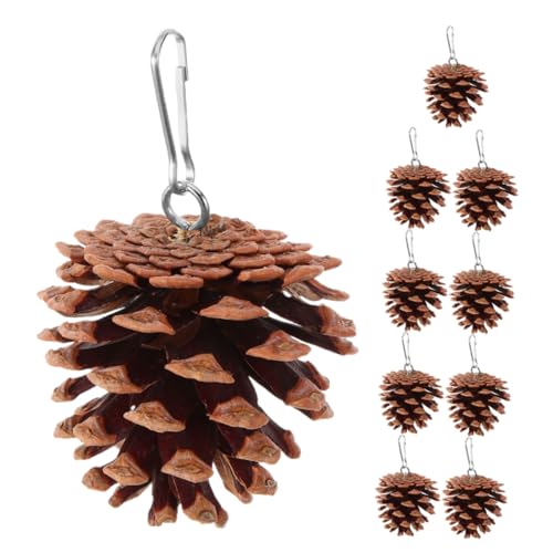 TOYANDONA 10 Stück Natürliches Kiefernzapfen Papageien Kauspielzeug Vogelkäfig Zubehör für Kleine bis Mittelgroße Vögel Sicheres zur Beaksanierung und Mühelosen TOYANDONA 10 Stück Natürliches Kiefernzapfen Papageien Kauspielzeug Vogelkäfig Zubehör für Kleine bis Mittelgroße Vögel Sicheres zur Beaksanierung und Mühelosen von TOYANDONA