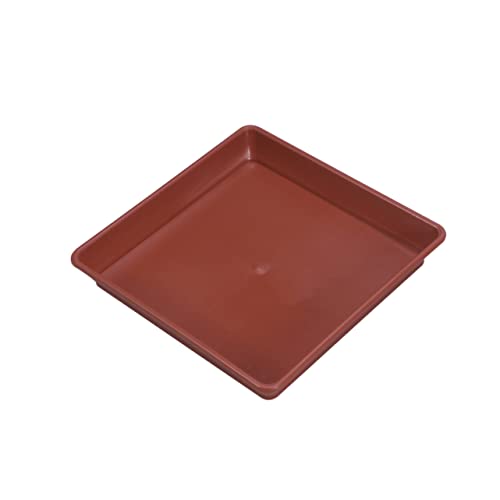 TOYANDONA 10 Stück Quadratische Untersetzer für Blumentöpfe Robuster Pflanzteller Kunststoff Rot für Garten und Innenbereich zur Oberflächenschutz und Pflanzenpflege TOYANDONA 10 Stück Quadratische Untersetzer für Blumentöpfe Robuster Pflanzteller Kunststoff Rot für Garten und Innenbereich zur Oberflächenschutz und Pflanzenpflege von TOYANDONA