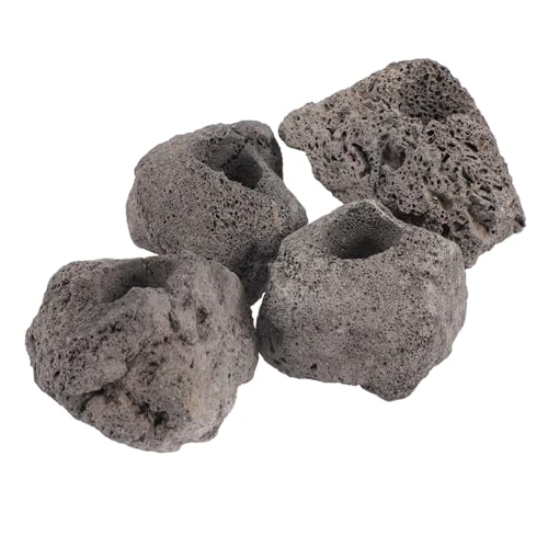 TOYANDONA 10 Stück Teiliges Aquarium Vulkanstein Natürliche Schwarze Fischbecken Deko mit Pflanzenfixierer Schonend für Wasserqualität Vielseitiges Aquarien Zubehör zur Gestaltung Lebendiger TOYANDONA 10 Stück Teiliges Aquarium Vulkanstein Natürliche Schwarze Fischbecken Deko mit Pflanzenfixierer Schonend für Wasserqualität Vielseitiges Aquarien Zubehör zur Gestaltung Lebendiger von TOYANDONA