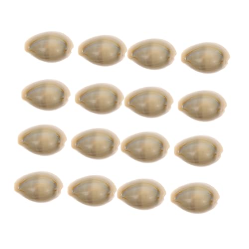 TOYANDONA 100 Stück Natürliche Muscheln Conch Dekoration für Aquarium und Innenbereich Sichere Fischbecken Deko DIY Zubehör für Naturnahe Gestaltung als zur Hauseinweihung von TOYANDONA