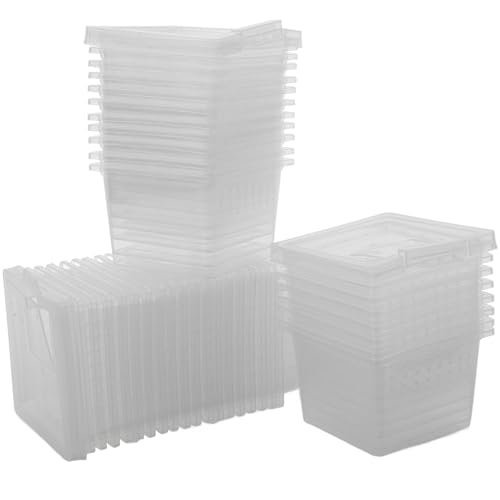 TOYANDONA 100 Stück Transparente Reptilien Zuchtbox Futterbehälter für Spinnen Eidechsen und Insekten aus PP Material Einfach zu Reinigen für Terrarien und Haustiere TOYANDONA 100 Stück Transparente Reptilien Zuchtbox Futterbehälter für Spinnen Eidechsen und Insekten aus PP Material Einfach zu Reinigen für Terrarien und Haustiere von TOYANDONA