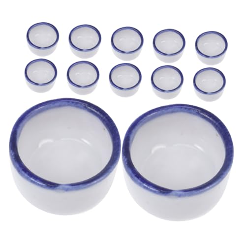 TOYANDONA 12 Stück Mini Wasserbecken für Spinnen und Skorpione Keramische Futterschalen für Reptilien Transparente Futter und Trinkschalen Platzsparend und Pflegeleicht von TOYANDONA