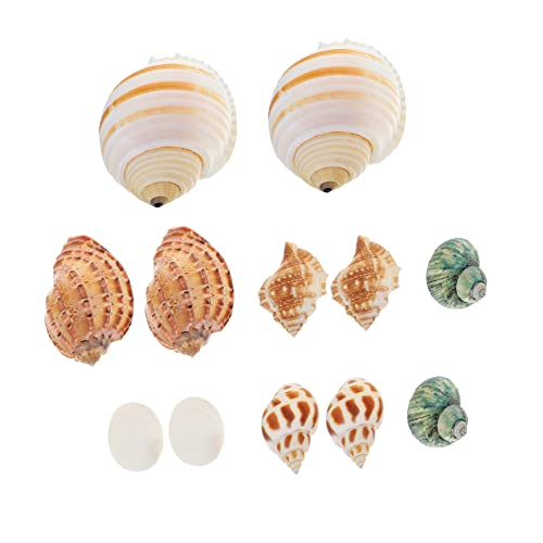 TOYANDONA 12 Stück Natürliche Dekoration für Aquarien Mikro Landschaftsornamente für Fischbehälter und Terrarien Unterwasser Dekoration Einfache Pflege und Lebendige Gestaltung TOYANDONA 12 Stück Natürliche Dekoration für Aquarien Mikro Landschaftsornamente für Fischbehälter und Terrarien Unterwasser Dekoration Einfache Pflege und Lebendige Gestaltung von TOYANDONA