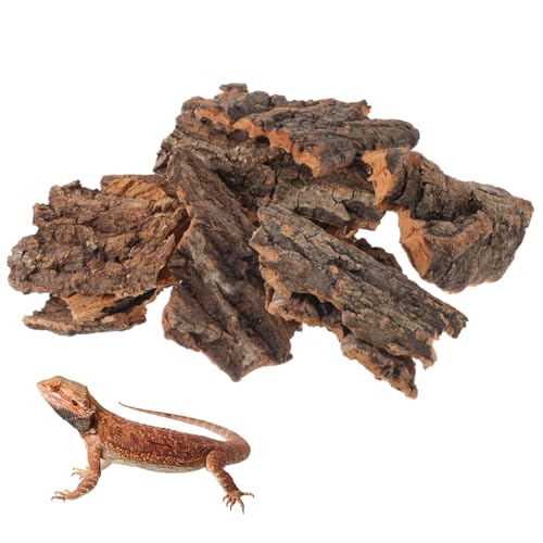TOYANDONA 14 Stück Tier Versteckte Hütte Reptilienbeckenrinde Klettert Auf Baumrinde Zubehör Reptilienrindendekor Terrarienbaumrinde Reptilienrinde Für Eidechsen Light Brown von TOYANDONA