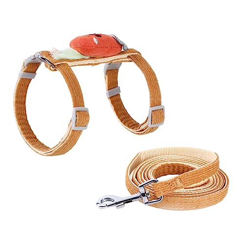 TOYANDONA 1Satz Katzenleine Einstellbares Kätzchengeschirr Mit Karotten Für Kätzchen Leine Und Geschirr Für Outdoor Aktivitäten Und Langlebig Für von TOYANDONA