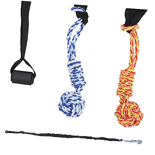 TOYANDONA 1Satz Kauspielzeug für Interaktives Moly Toy Dehnbarer Zugleine mit Zugleine Bällen und Türhaken Fördert Bewegung und Angst TOYANDONA 1Satz Kauspielzeug für Interaktives Moly Toy Dehnbarer Zugleine mit Zugleine Bällen und Türhaken Fördert Bewegung und Angst von TOYANDONA