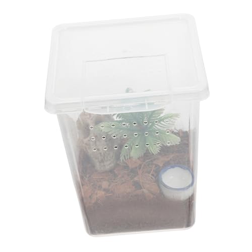 TOYANDONA Kleine Insektenfütterungsbox für Spinnen Kompakte Ausbruchsichere Kunststoff Zuchtbox für Reptilien Transparentes Terrarium für Haustierspinnen und Insekten von TOYANDONA