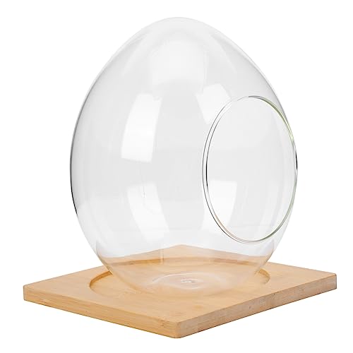 TOYANDONA 1Satz Micro Landschaftsflasche Große Transparente Vase Für DIY Ökodesign Zur Dekoration Moos Und Wohnräume von TOYANDONA