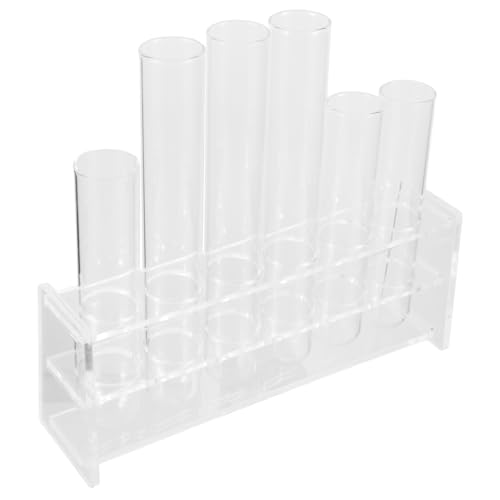 TOYANDONA 1Satz Reagenzglas Anzuchtgefäß für Transparentes Pflanzenterrarium mit Kunststoffgestell für Tischdeko Vielseitig Einsetzbar Jedem von TOYANDONA