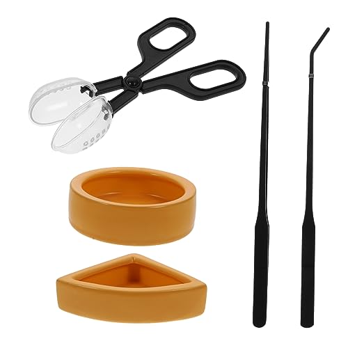 TOYANDONA 1Satz Reptile Feeding Tongs Water Feeder Long Tweezers for Turtle Gecko Lizard Durable Scooper Food Tool for Reptile Care TOYANDONA 1Satz Reptile Feeding Tongs Water Feeder Long Tweezers for Turtle Gecko Lizard Durable Scooper Food Tool for Reptile Care von TOYANDONA