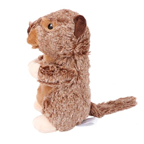 TOYANDONA 1Stück Hundezahnspielzeug aus Weichem Plüsch Interaktives Kau und Ziehspielzeug mit Integrierter Pfeife für Kleine und Mittelgroße Langlebig und Zahnfreundlich Sorgt TOYANDONA 1Stück Hundezahnspielzeug aus Weichem Plüsch Interaktives Kau und Ziehspielzeug mit Integrierter Pfeife für Kleine und Mittelgroße Langlebig und Zahnfreundlich Sorgt von TOYANDONA