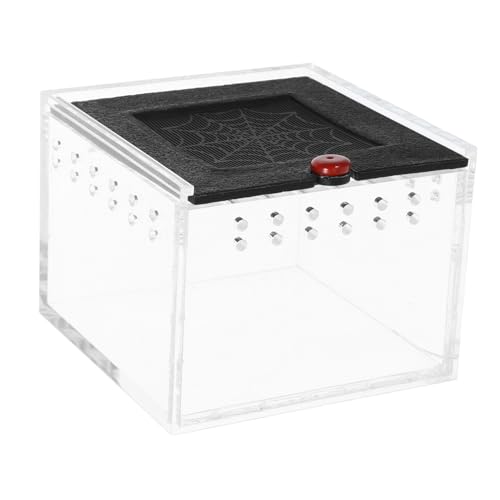 TOYANDONA 1Stück Reptilien Fütterungsbox Für Spinnen Skorpione Und Geckos Transparentes Faunarium Mit Belüftung Und Langlebig Für Transport Haltung Von Reptilien von TOYANDONA